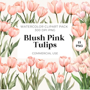 Aquarel tulp clipart set|Blush roze tulpen|Bruiloft uitnodiging clipart|Bloemen illustraties|Scrapbooking|Commercieel gebruik|Aquarel tulpen