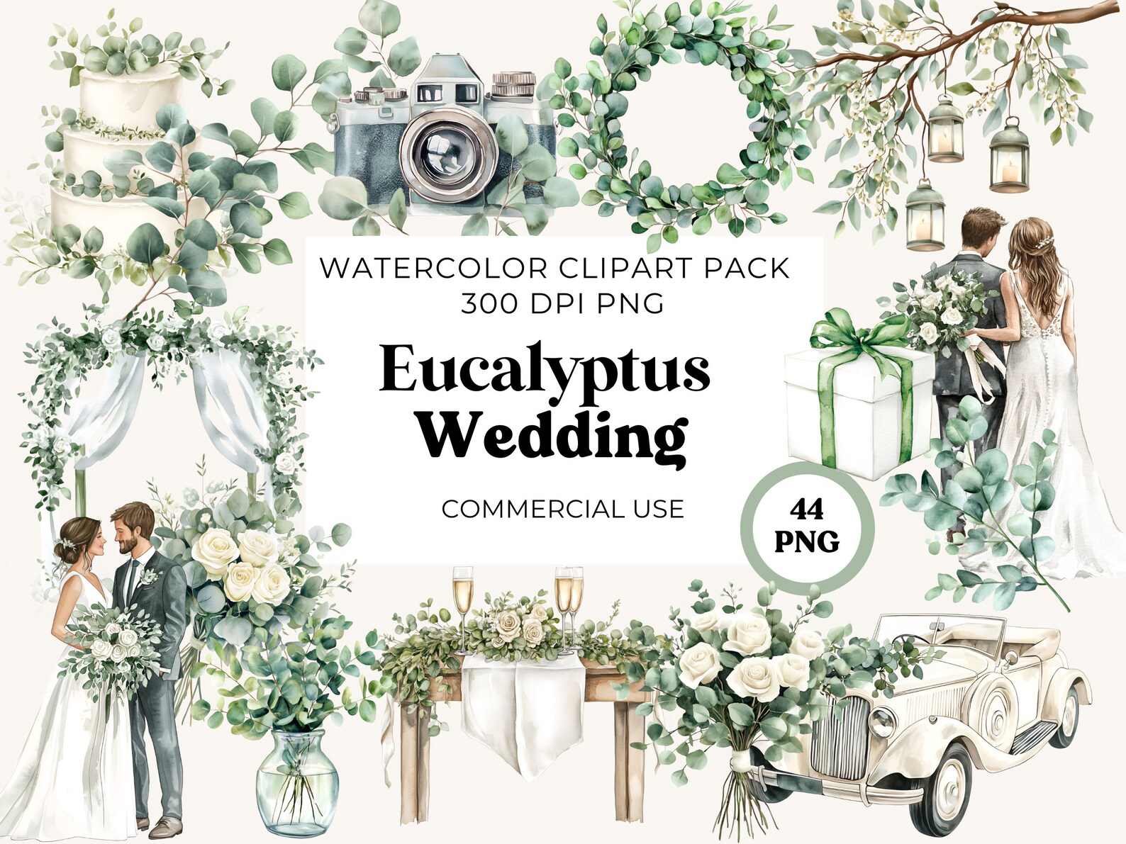 Eucalyptus Wedding Clipart: Watercolor Greenery Graphics (PNG, PDF) - Etsy