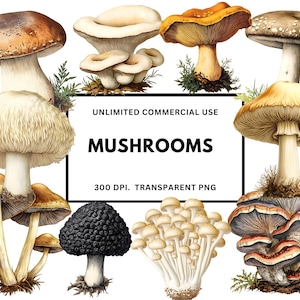 Clipart de aquarela de cogumelos, fungos botânicos de inspiração vintage, gráficos de arte inspirados na natureza, licença comercial ilimitada incluída
