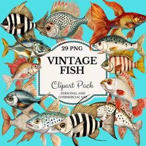 Retro Vintage-inspirierte Fische Clipart Grafik Illustrationen | Historische Fische Clip Art | Kommerzielle Nutzung | Junk Journaling | Sammelalben