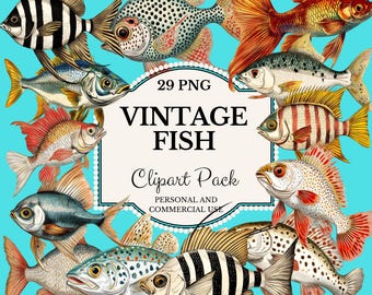May include: A set of 29 vintage fish illustrations in PNG format. The fish are colorful and detailed, with a variety of species and styles. The illustrations are perfect for adding a touch of whimsy to any project.