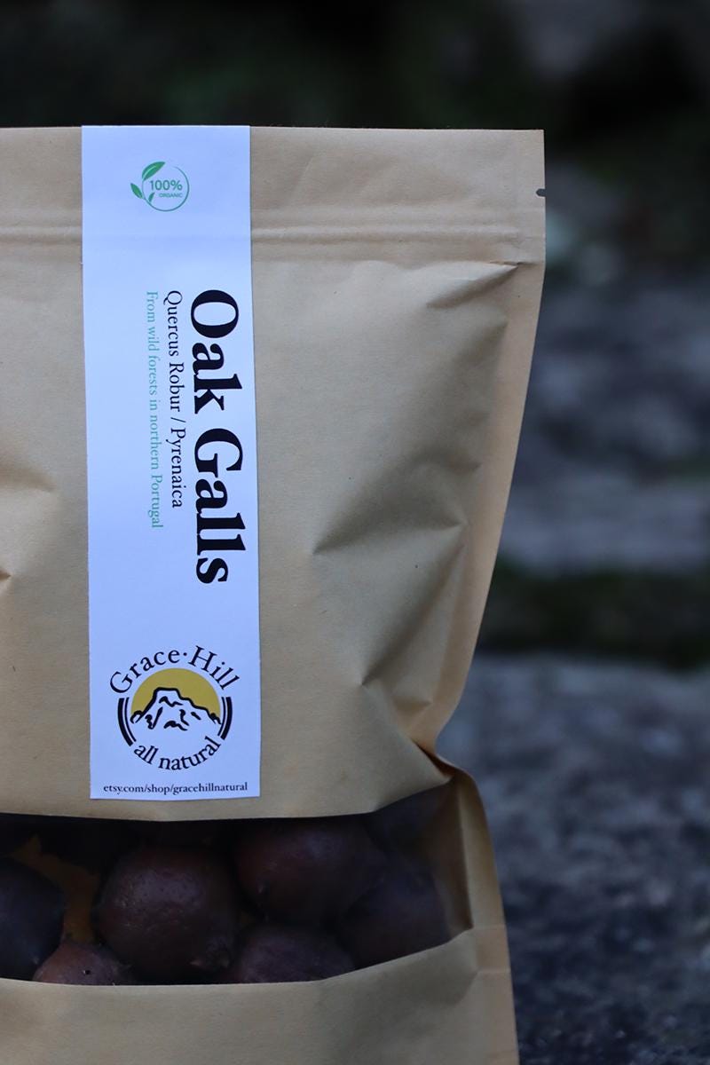 OAK GALLS / Natural Dyeing / Natural Tannin / Oak Gall Mordant ...