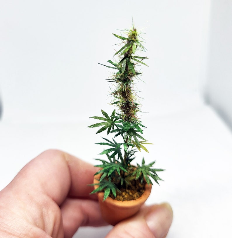 miniature 12th scale cannabis plant image 1