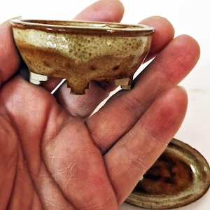 Può includere: Un piccolo vaso per bonsai in ceramica di forma ovale con una smaltatura bicolore, caratterizzato da una parte superiore color bianco crema e una base marrone maculata. Il vaso poggia su quattro piedini corti e robusti ed è accompagnato da un sottovaso ovale abbinato.