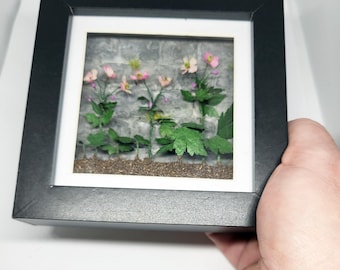 Shadowbox of miniature 12th scale Japanese Anemone