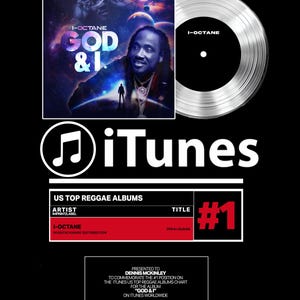 REAL VINYL ITUNES Charts Record Award - Platinum 7&quot; Record Album Award - 16&quot; x 20&quot; Framed Artist & Band Recognition