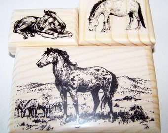 3 Horse Rubber Stamps Horses New Rubber Stamp Stamps