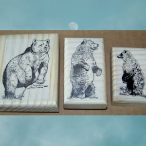 3 Bear Rubber Stamps Bears New Mounted Rubber Stamps Grizzly Bear Stamp, Standing Bear Brown Bear Rubber Stamp