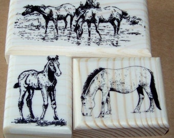 3 Horse Horses New Mounted Rubber Stamps