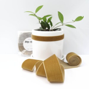 May include: A roll of mustard yellow velvet ribbon with a small potted plant in the background. The ribbon is 1 inch wide and is perfect for adding a touch of elegance to any project.