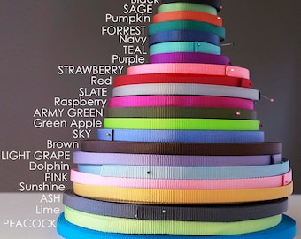 Nylon Webbing Color Sample Pack: 5/8 Inch Swatches