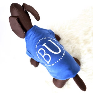 May include: A brown and white dog wearing a blue t-shirt with the letters "BU" in a white circle with arrows around it.