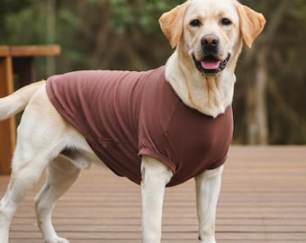 May include: A light brown Labrador Retriever dog wearing a brown t-shirt, standing on a wooden deck.