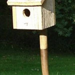 May include: A rustic birdhouse mounted on a repurposed garden fork. The birdhouse is made of light-colored wood with a small round entrance hole. The fork's tines are embedded in the ground, and the handle forms the birdhouse's support.