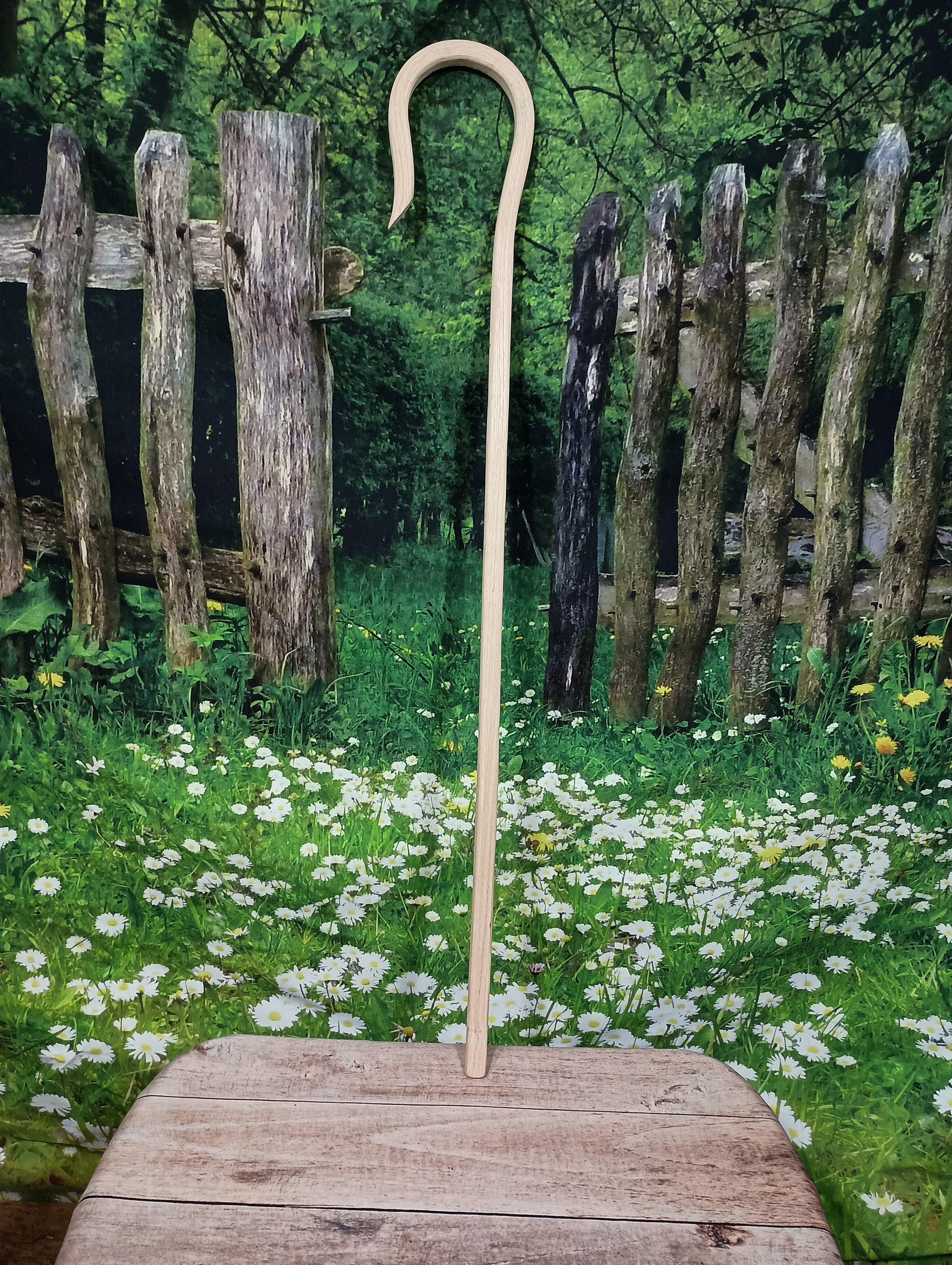 Amish Handcrafted Red Oak Steam Bent Small Shepherd Crook or Hook Stands about 40 1/2 Inches Tall Child Size Photo Prop and Christmas Play