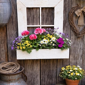 Rustic Barn Wood Window Frame Flower Box Planter - American Handcrafted Farmhouse Country Home Décor