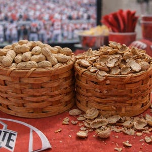 Handmade Home and Garden Peanut Basket Holds Nuts in one side and empty hulls in other Ready to dump with swivel design