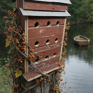 May include: A rustic, brown wooden birdhouse with multiple circular entry holes, mounted on a weathered wooden post. The birdhouse has a metal roof and is adorned with vines bearing orange berries. A small boat floats in the background on a lake.