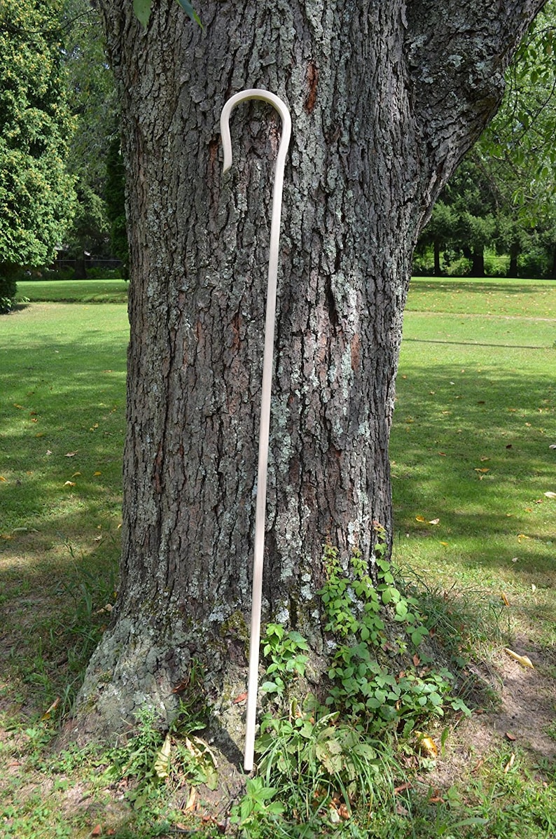 Amish Handcrafted Red Oak Steam Bent Shepherd Crook or Hook. Etsy
