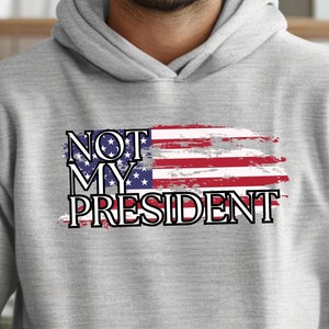 Political Activist Hoodie, Anti Dictator Sweatshirt, Anti Trump Sweatshirt , Protester Pullover, Resistance Apparel, Gifts for Liberals