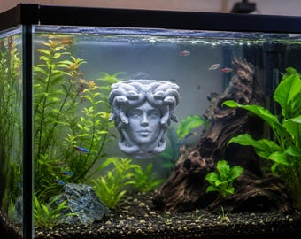 Maceta Medusa / Para ACUARIOS / Con ventosas / PETG