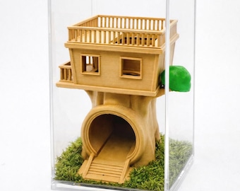 Treehouse | Jumping Spider Home