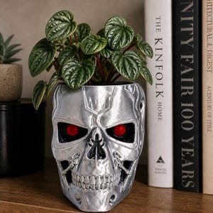 May include: A silver skull-shaped planter with red eyes, holding a green leafy plant. The planter sits on a wooden shelf with books in the background. The books include "VANITY FAIR 100 YEARS" and "THE KINFOLK HOME."
