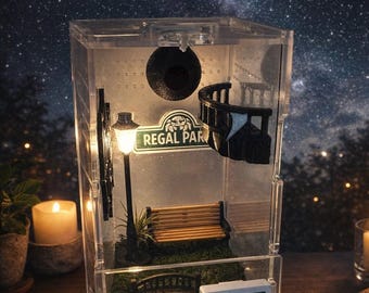Regal Park Theme | JUMPING SPIDER