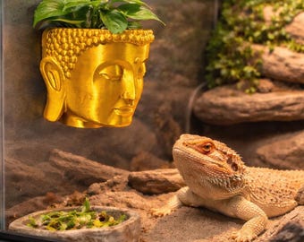Buddha Planter | sized for REPTILES | Magnetic | Plant Add-ons