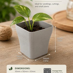 May include: A small, square, grey plant pot with a young plant featuring green and yellow leaves. The pot is 5 cm on each side and has drainage holes. Text on the image reads "PERFECT SIZE" and "DIMENSIONS: 50mm x 50mm x 50mm."