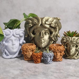 Op de afbeelding: Een verzameling Medusa-hoofdplantenbakken in verschillende maten en kleuren. De plantenbakken variëren van klein tot groot, met kleuren als goud, oranje, grijs en wit. Sommige plantenbakken bevatten kleine planten.
