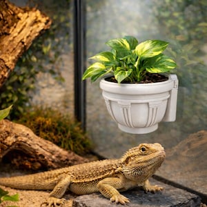 May include: A bearded dragon lizard rests on a dark gray stone in a terrarium. A white planter with a green and yellow plant is mounted on the glass. The terrarium has a sand substrate and a wooden branch.