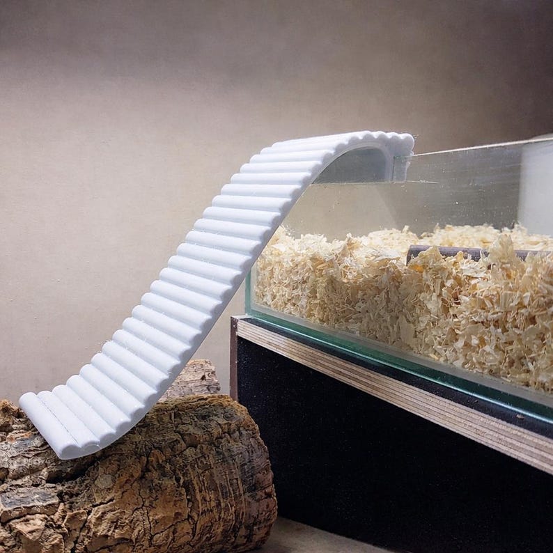 Hamster Ramp/staircase | Any Color - Etsy