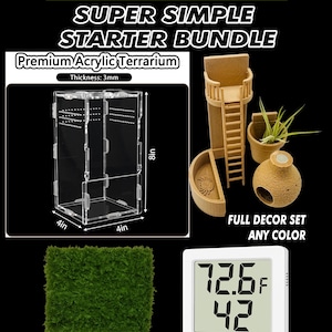 SIMPLE Starter Bundle | Jumping Spiders & Other Tiny Pets| Super Low Maintenance | Free Random Gift included with every order!