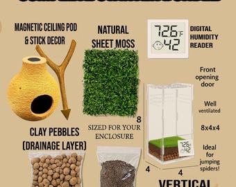 SEMI BIO-ACTIVE Starter Bundle | Jumping Spiders & Other Tiny Pets| Low Maintenance | Free Random Gift included with every order!