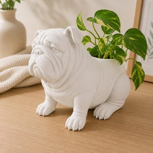 May include: A matte white ceramic planter shaped like a sitting bulldog. The dog figure features detailed facial wrinkles, folded ears, and visible paws. A green and yellow variegated pothos plant is growing out of the opening on the dog's back.