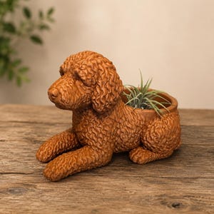 May include: A terracotta-colored planter shaped like a lying dog with curly fur texture. The dog figure features a hollow opening on its back containing a small green air plant. The sculpture is rendered in a solid, matte brown finish.