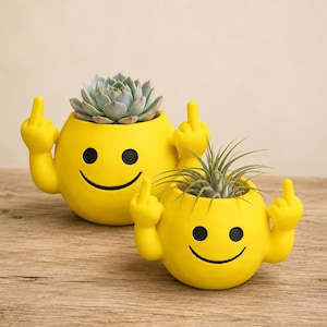 Vaso a forma di tartaruga / Accessori per piante vive / Vaso stampato in 3D