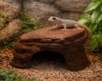 Cave Hide – Decorative Shelter for Small Geckos/Tarantulas/Jumping Spiders