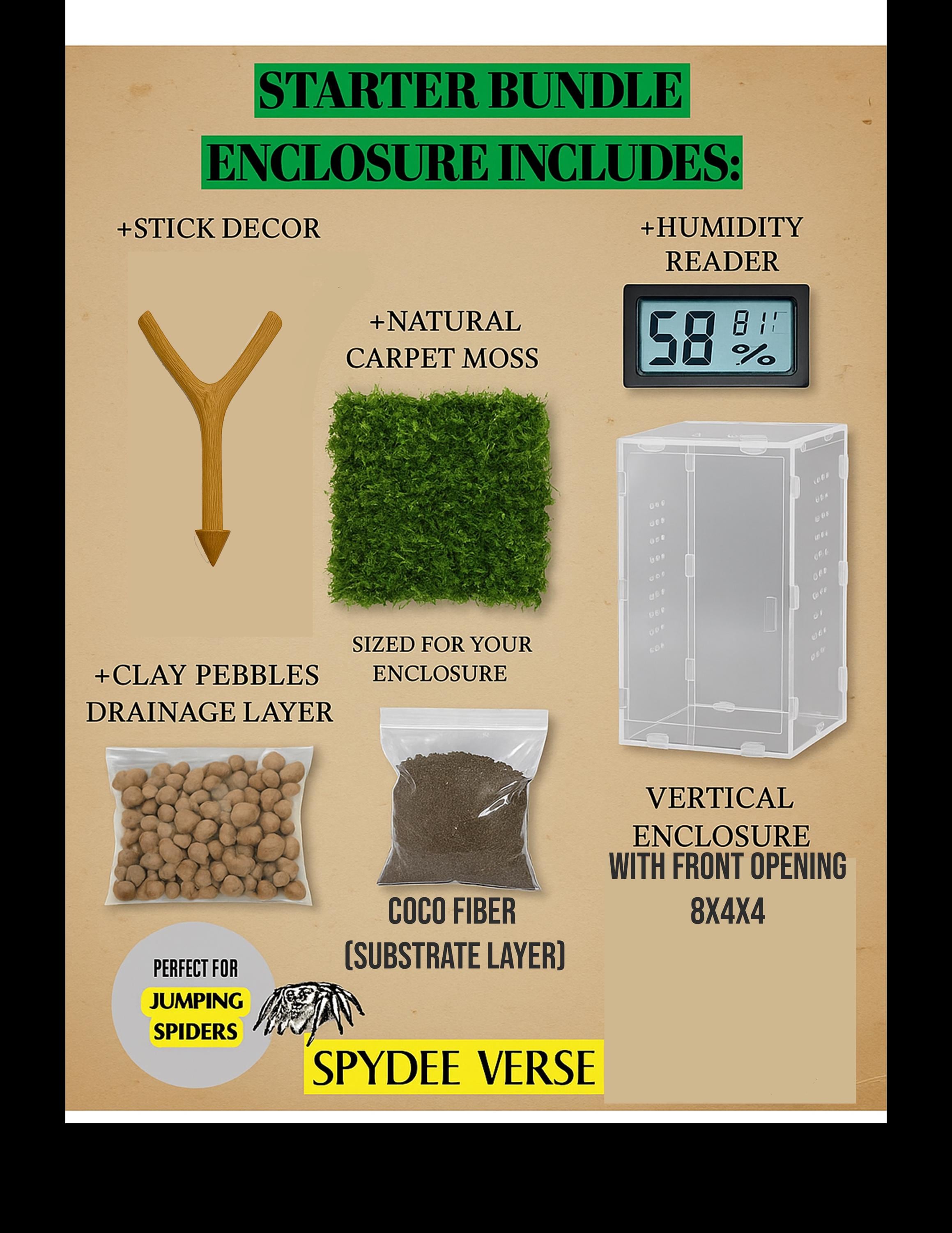 Basic Starter Bundle Pack | Jumping Spiders | Semi-Bioactive, Low Maintenance | Spydee Verse