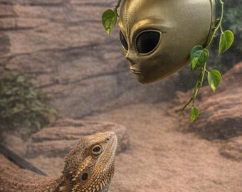 Alien Planter | sized for REPTILES | Magnetic | Plant Add-ons
