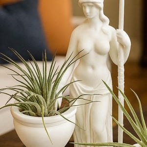 May include: A white marble statue of a woman in classical attire, holding a staff, with a helmet. Two white urns with green plants are in the foreground. The statue is on a dark wooden surface.