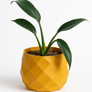 May include: A vibrant yellow geometric planter with a faceted diamond-like surface texture. The pot contains a small green plant with four smooth, pointed leaves emerging from dark brown soil visible at the top of the container.