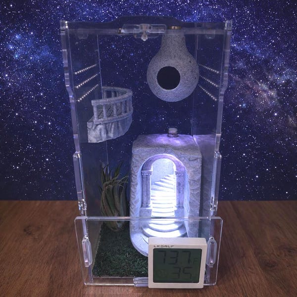 Secret Door Cave | SIMPLE Starter Bundle | Jumping Spider Enclosure