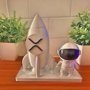 XRP to the moon | Decor