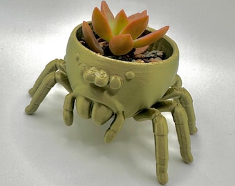 Jumping Spider Planter