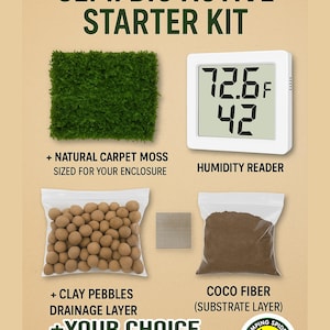 Könnte beinhalten: Ein Semi-Bio-Aktiv-Starter-Kit mit natürlichem Teppichmoos, einem Feuchtigkeitsmesser, Tonkugeln, Kokosfaser und zwei Zubehörteilen. Der Feuchtigkeitsmesser zeigt 22.5°C und 42% Luftfeuchtigkeit an. Für ein Terrarium.