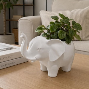May include: A white elephant-shaped planter holding a green leafy plant. The planter is made of ceramic and has a trunk, ears, and four legs. The plant has small, round, dark green leaves. The planter is on a wooden table.