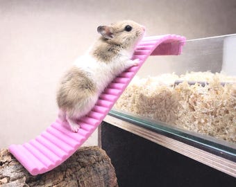 Hamster Ramp/Staircase | Any Color