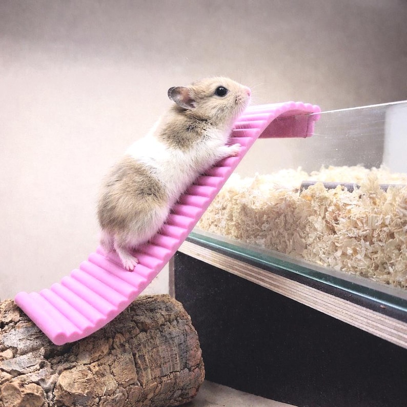 Hamster Ramp/staircase | Any Color - Etsy